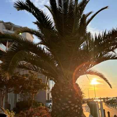 Whatsapp Bild 2024 08 25 Um 16.17.05 D6cd24b9