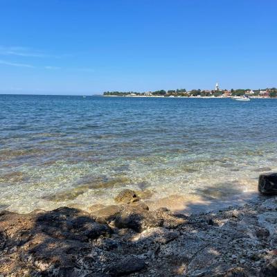 Whatsapp Bild 2024 08 25 Um 16.17.07 172f1b25