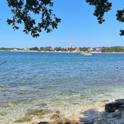 Whatsapp Bild 2024 08 25 Um 16.17.08 513bde03