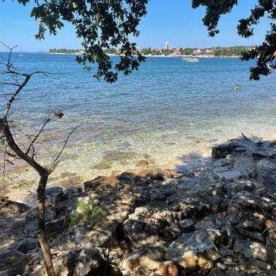 Whatsapp Bild 2024 08 25 Um 16.17.08 Eef86047