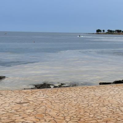 Whatsapp Bild 2024 08 25 Um 16.17.15 C2ae97cb