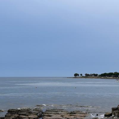 Whatsapp Bild 2024 08 25 Um 16.18.40 D1d0c7b5