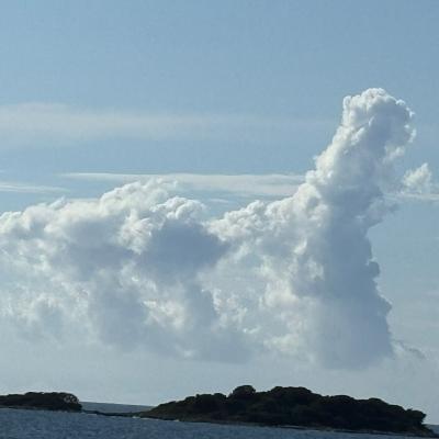 Whatsapp Bild 2025 09 11 Um 23.42.14 0993362f