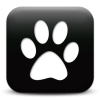 Captcha image 8906